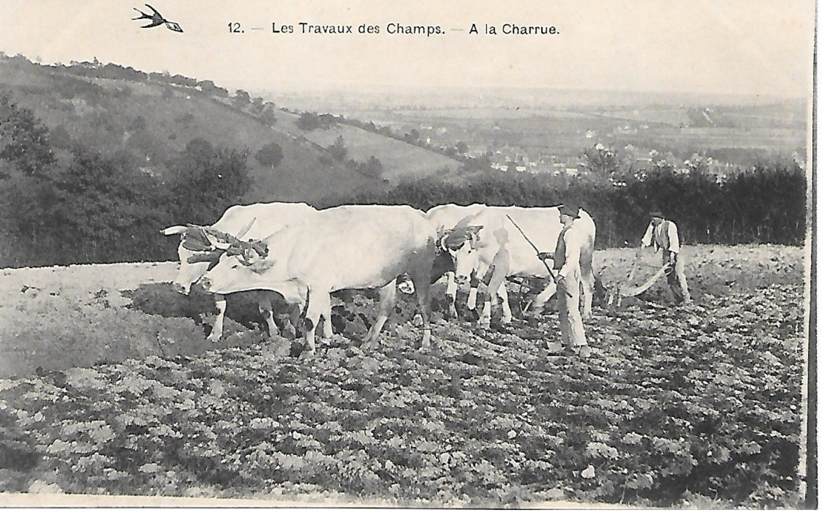 CPA - AGRICULTURE AGRICULTEUR - Travaux Des Champs, Le Labour,  Attelage De Boeufs - Bauern