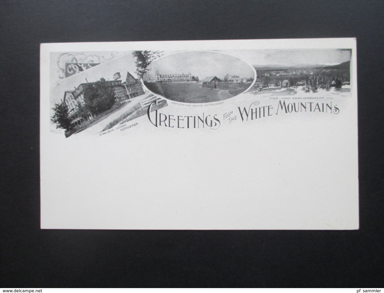 USA AK / Mehrbildkarte Um 1900 Greetings From The White Mountains Sinclair House, Maplewood House Bethlehem - White Mountains