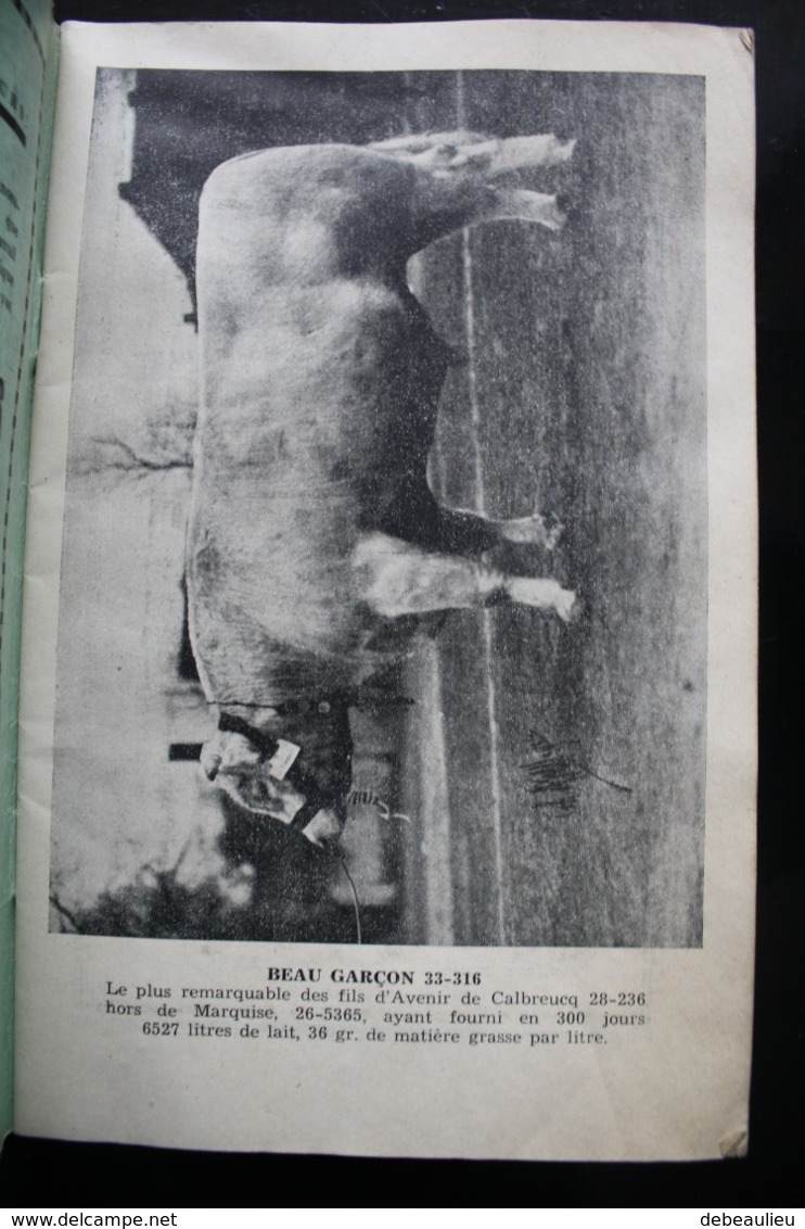 Ath, 1950, "Catalogue Du Grand Concours-foire D'animaux Tracés De Race Blanche De La Moyenne Belgique" - Sonstige & Ohne Zuordnung