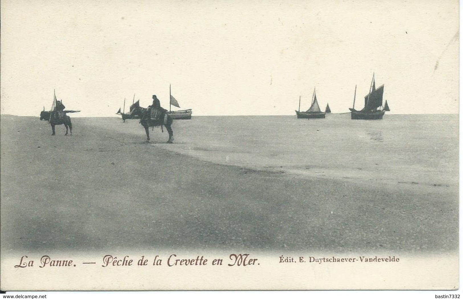 De Panne/La Panne,Pêche De La Crevette En Mer - De Panne