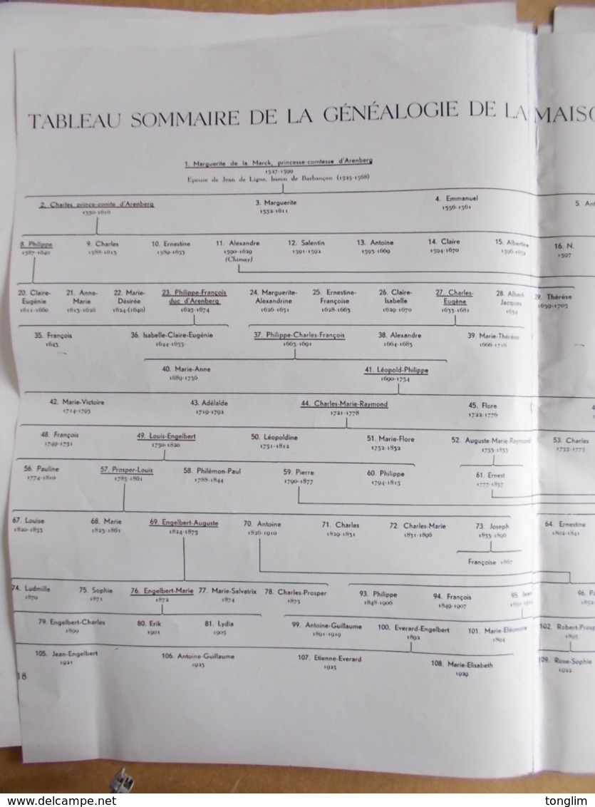 ENGHIEN  LA FAMILLE D' ARENBERG   Généalogie De La Maison Princière Et Ducale - Histoire