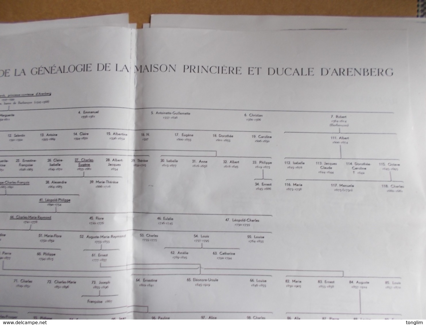 ENGHIEN  LA FAMILLE D' ARENBERG   généalogie de la maison princière et ducale