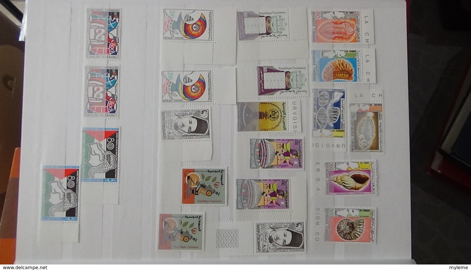 Collection blocs et timbres ** de différents pays dont Maroc, Tunisie, Algérie et autres  Très sympa !!!