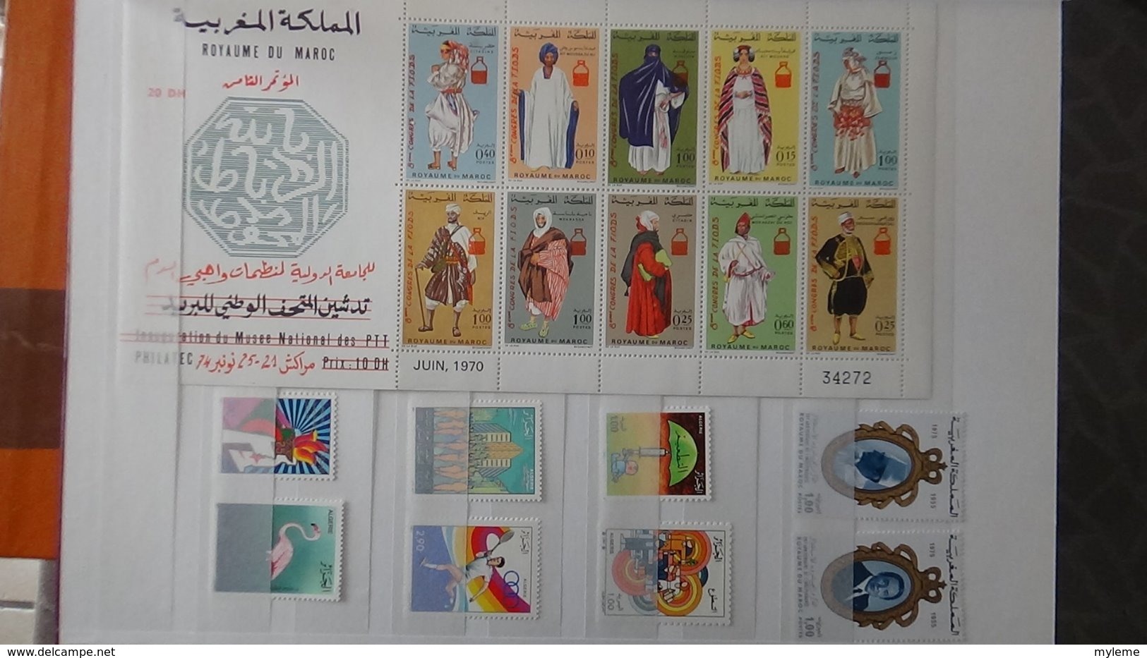 Collection blocs et timbres ** de différents pays dont Maroc, Tunisie, Algérie et autres  Très sympa !!!