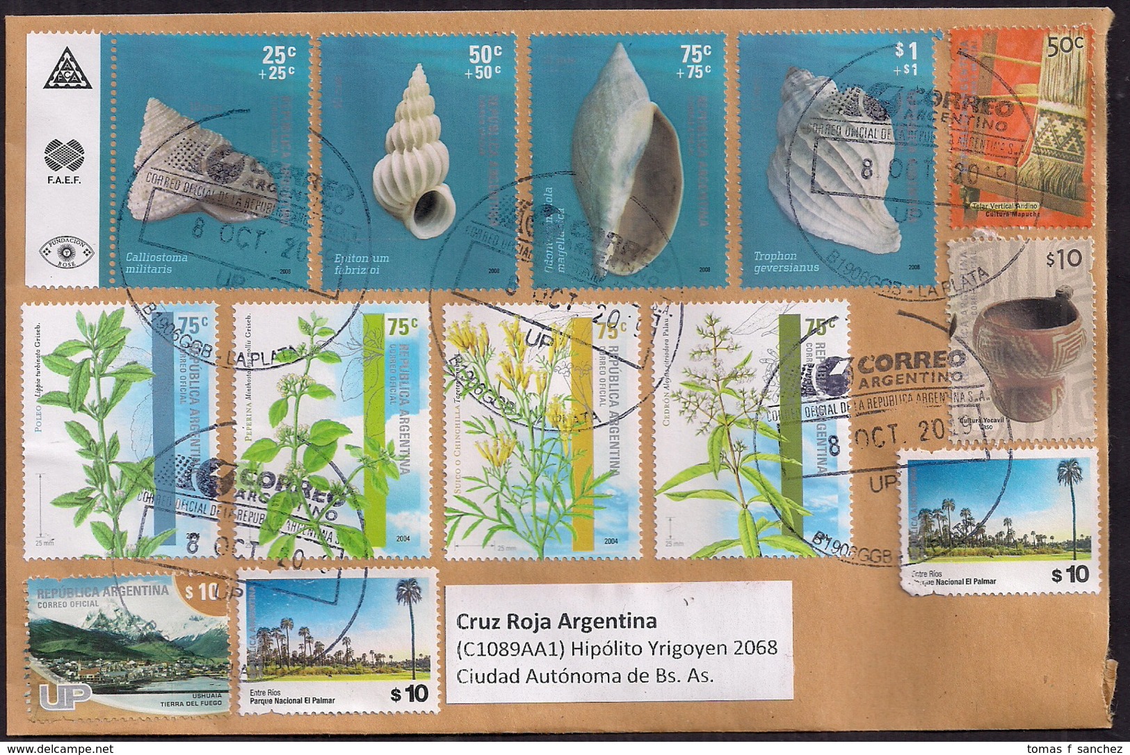 Argentina - 2019 - Turisme - Coquillages - Plantes Médicinales - Divers Timbres - Briefe U. Dokumente