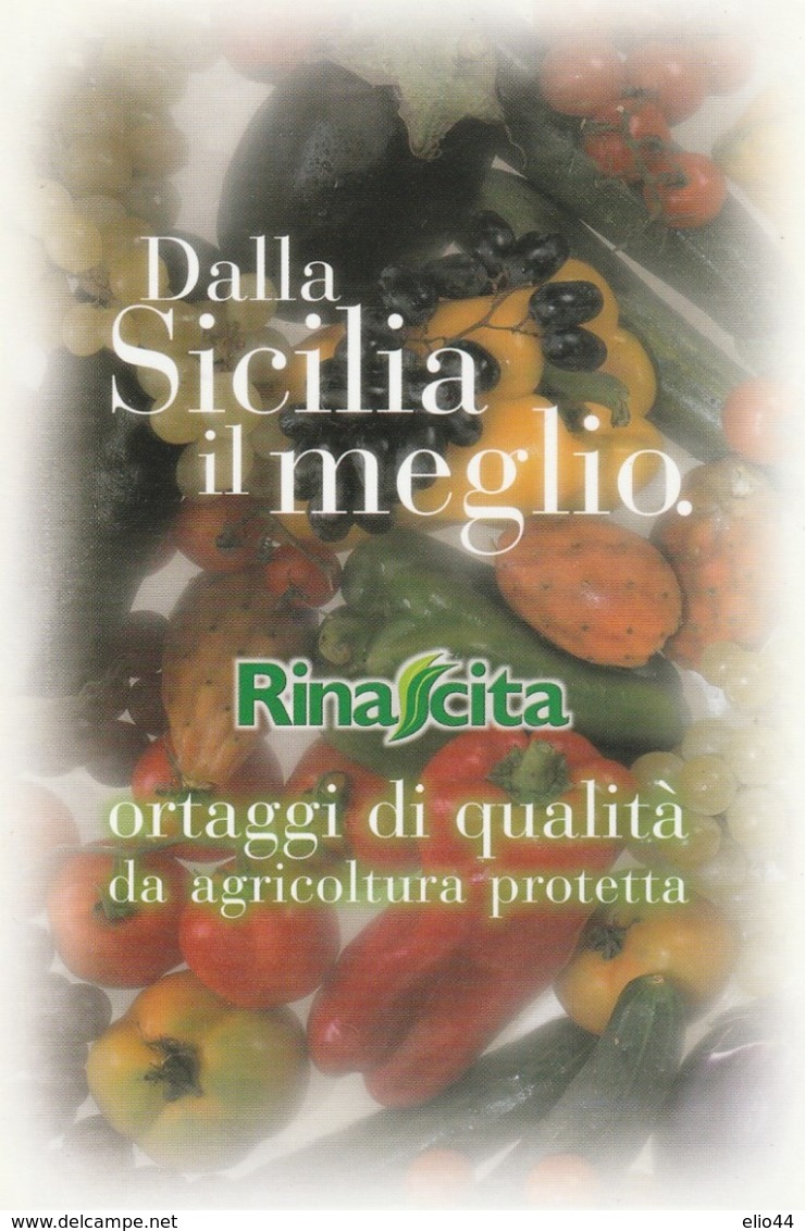 Sicilia - Ragusa - Vittoria - Rinascita - Organizzazione Di Produttori - Dalla Sicilia Il Meglio - - Ragusa