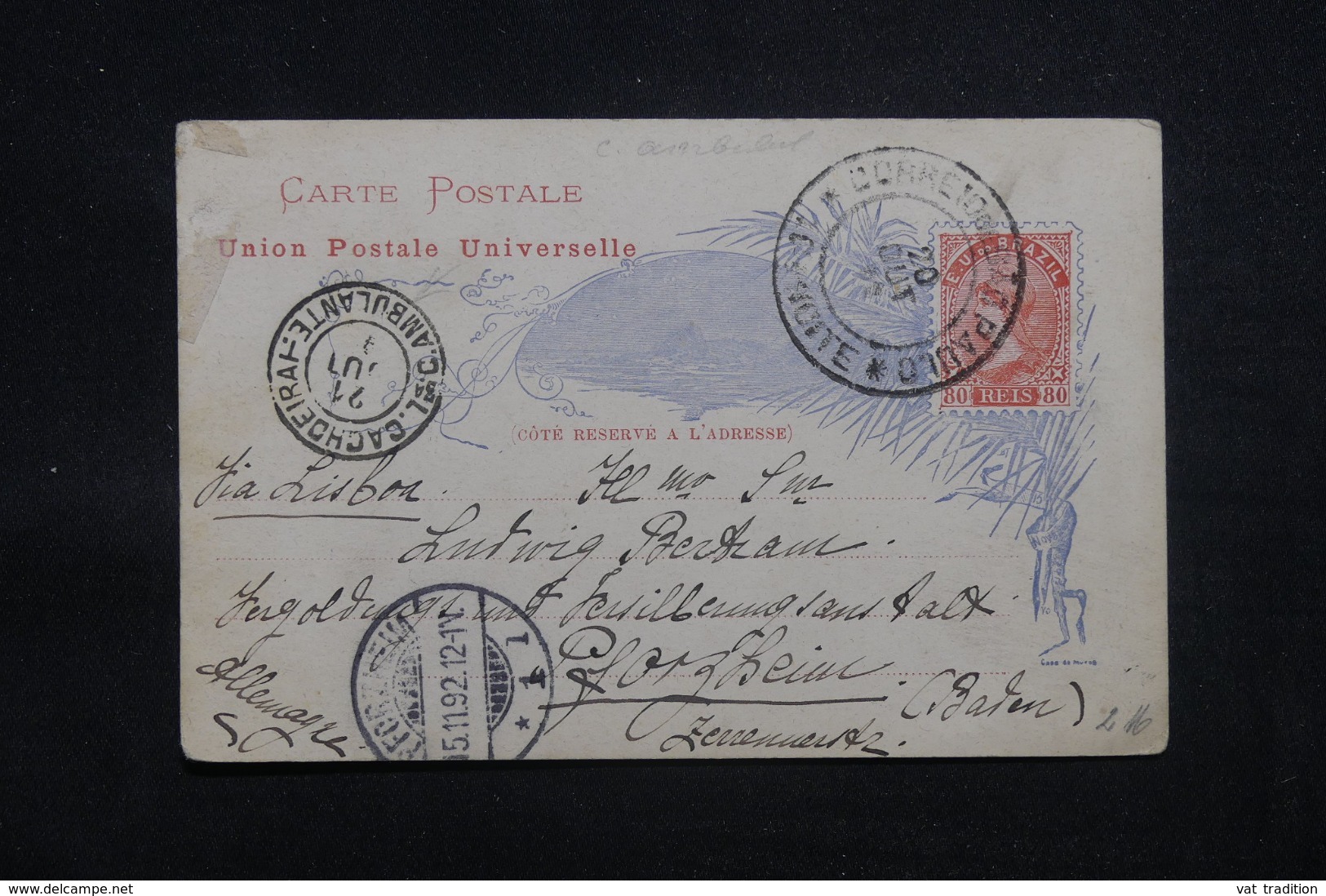 BRÉSIL - Entier Postal Pour L 'Allemagne En 1892 - L 43214 - Entiers Postaux