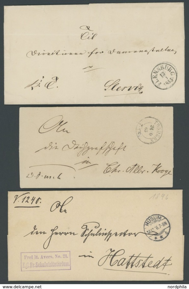 SCHLESWIG-HOLSTEIN 1851-1896, 9 Verschiedene Belege, Dabei ALBERSDORF Und LUNDEN, Meist Pracht - Prephilately