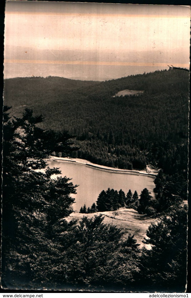 69228 ) CARTOLINA DI HAUTES VOSGES-LA ROUTE DES-VUE SUR LE LAC VERT -VIAGGIATA - Other & Unclassified