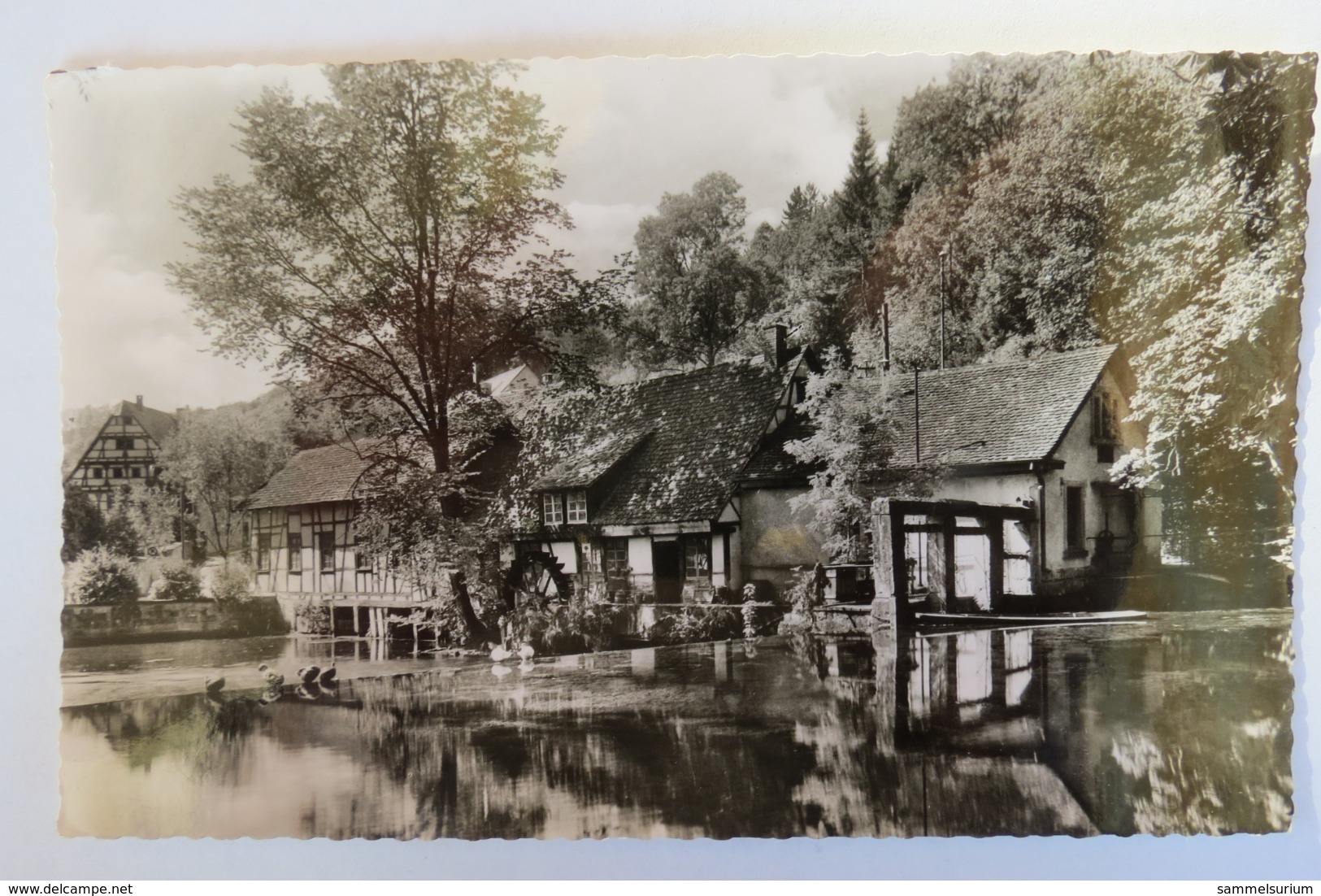 (11/3/91) Postkarte/AK "Blaubeuren" Bei Ulm A. Donau, Blautopf (Ursprung Der Blau) - Blaubeuren