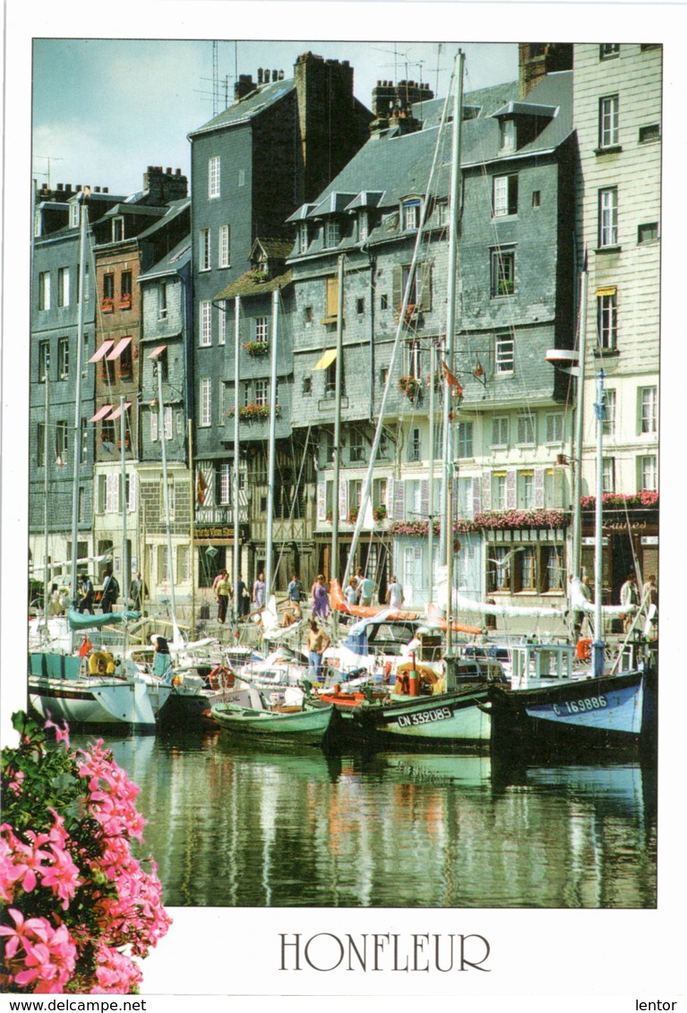 Kt 874 / Honfleur, Le Vieux Bassin - Honfleur