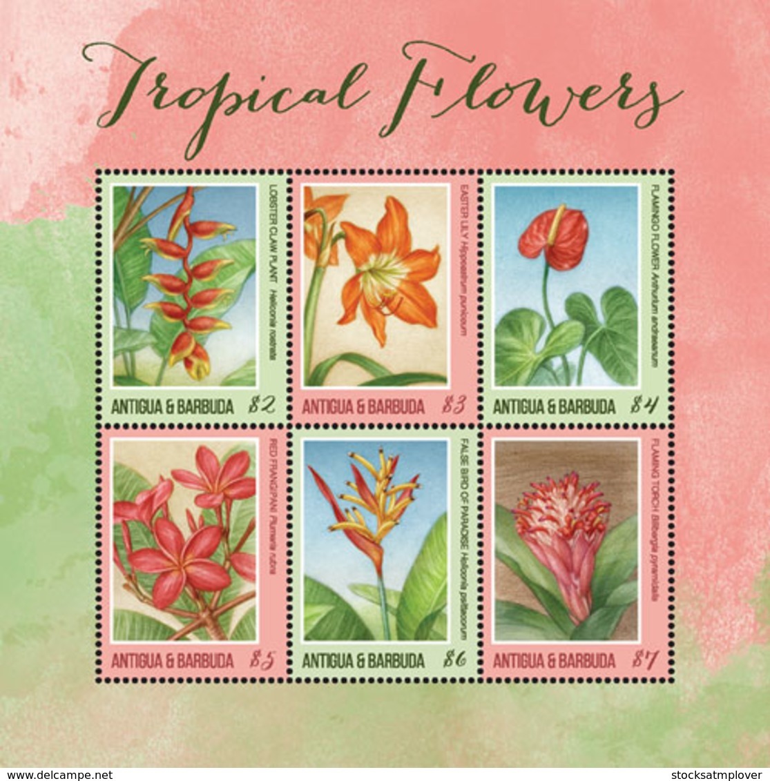 Antigua And Barbuda  2018  Tropical  Flower  I201901 - Antigua And Barbuda (1981-...)