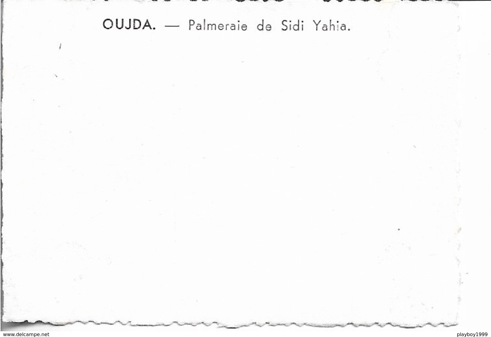 Maroc - OUJDA - Palmeraie De Sidi Yahia - Carte Photo - Voir Scan - Recto,Verso - Carte Ancienne - Vierge - - Otros & Sin Clasificación