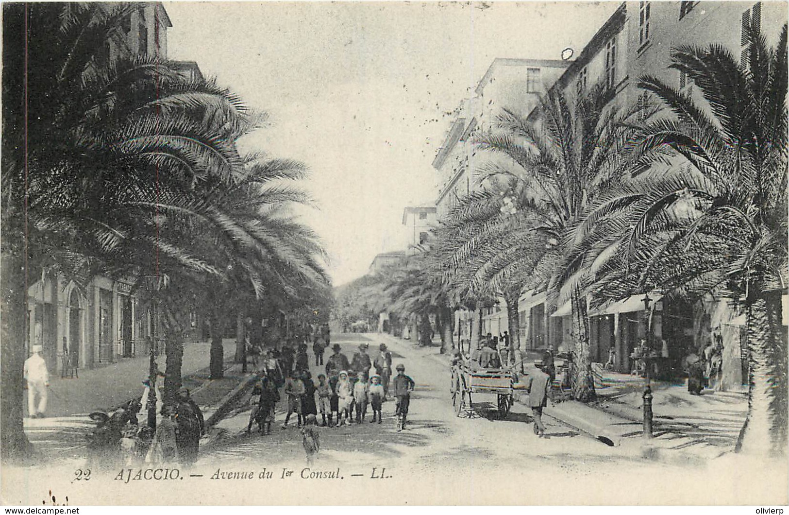 France - 20 (2A ) - Ajaccio - Avenue Du Ier Consul - Ajaccio