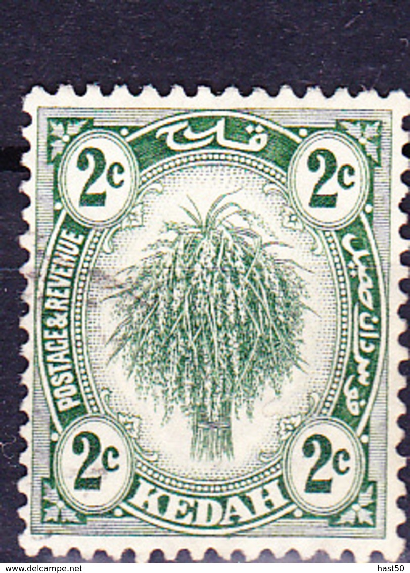 Malaiische Staaten V - Kedah - Reisgarbe (MiNr: 24) 1921 - Gest Used Obl - Kedah