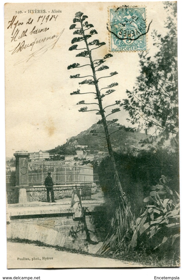 CPA - Carte Postale - France - Hyères - Aloès - 1904 (I10130) - Hyeres