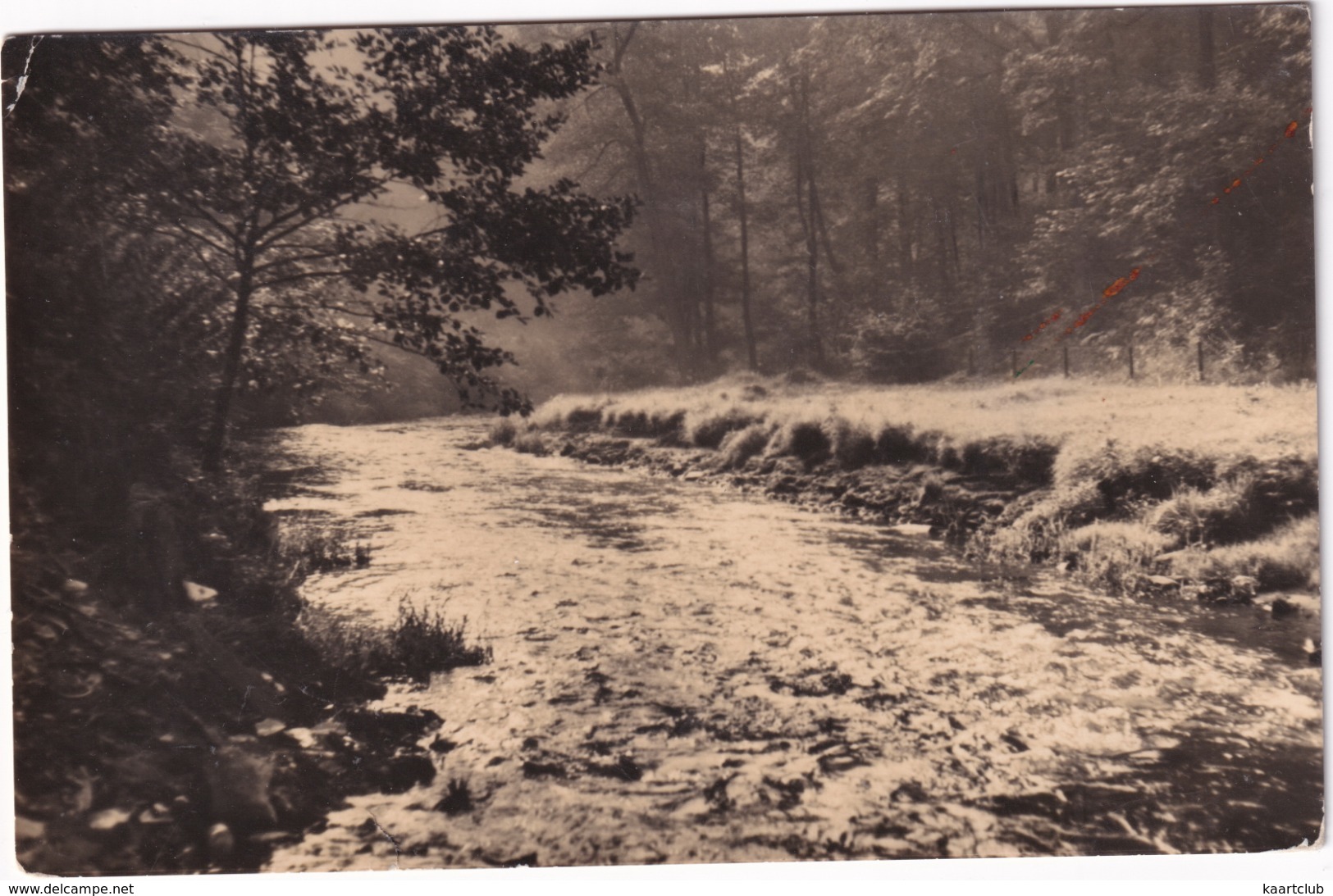 Mägdesprung / Harz - Im Selketal - (1964 - DDR) - Harzgerode