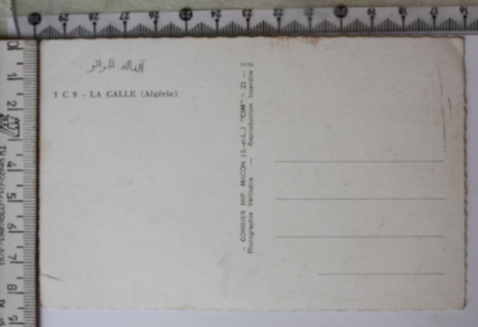 PostCard, Different Viewes Of Calle, Algerie - Scènes & Types