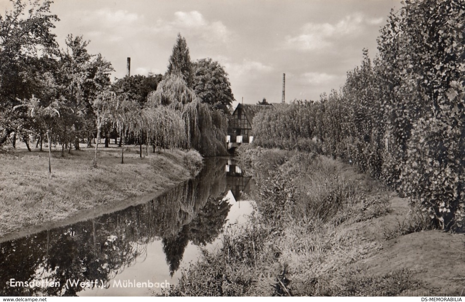 Emsdetten - Muhlenbach 1964 - Emsdetten