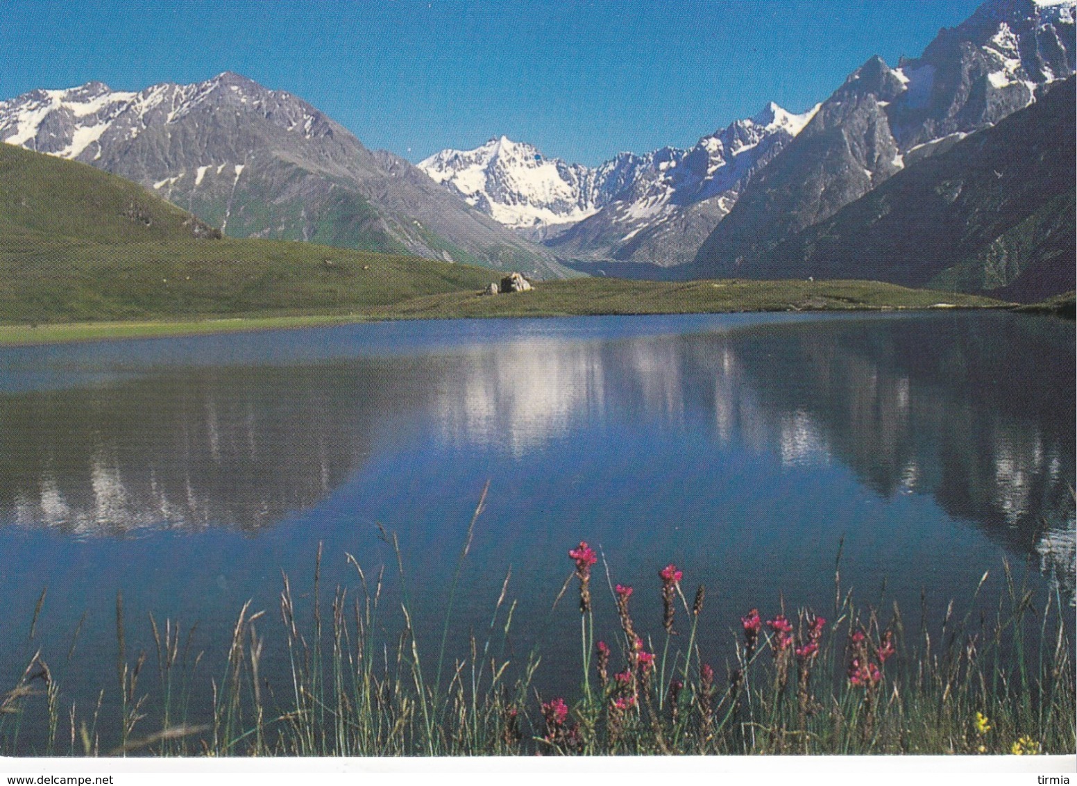 Les Alpes - Lac Au Printemps - Sin Clasificación