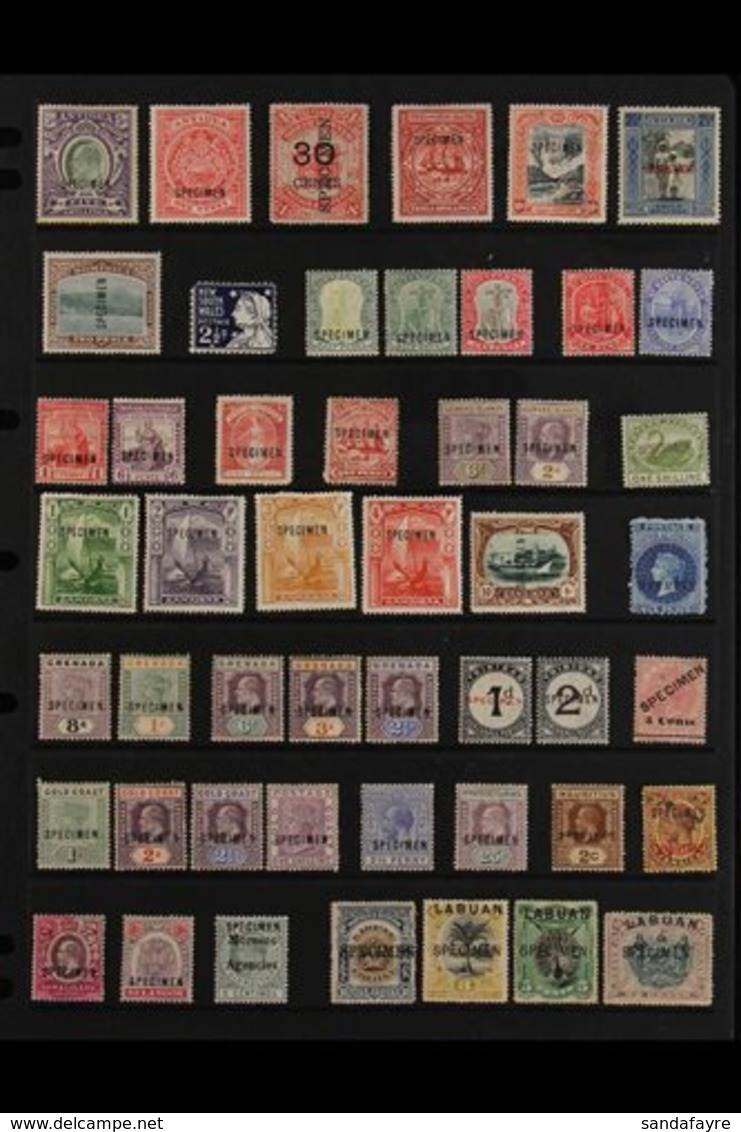 BRITISH COMMONWEALTH "SPECIMEN" OVERPRINTS  1880's-1920's All Different Collection Of Mint Stamps With "Specimen" Overpr - Autres & Non Classés