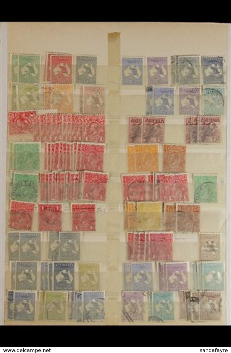 1913-1936 ATTRACTIVE RANGES  On Stock Pages, Mint & Used Stamps With Light Duplication, Includes 1913-14 Roos To 2d, 6d  - Other & Unclassified