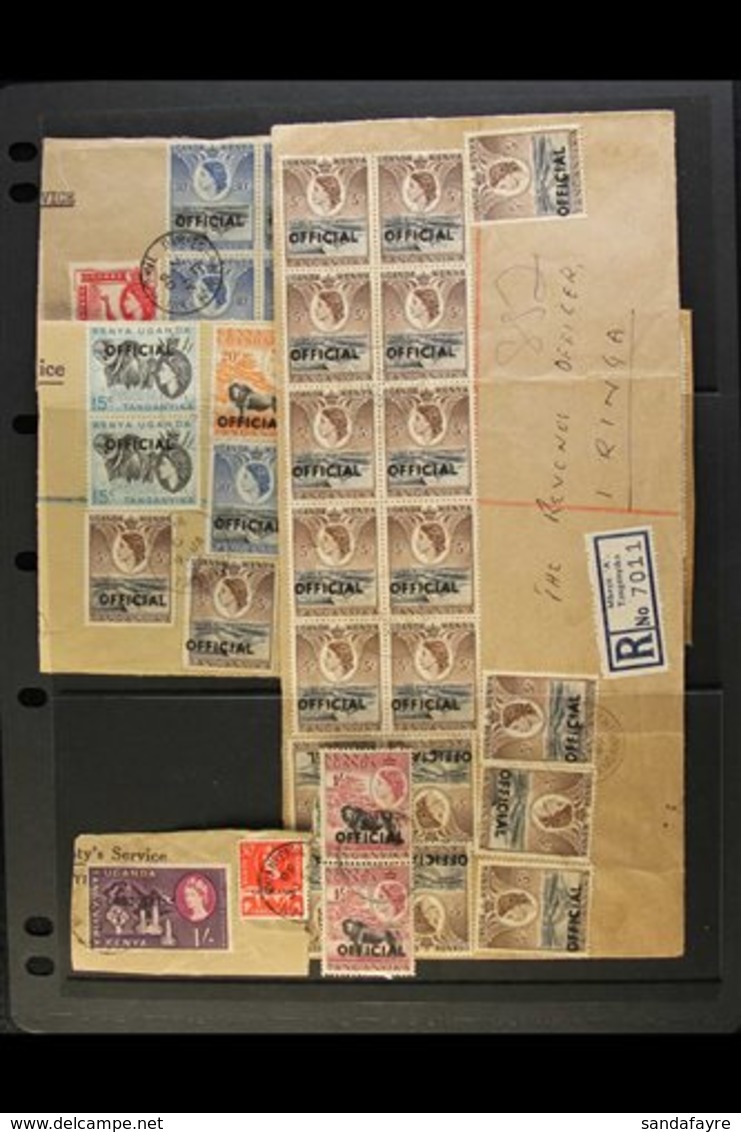 OFFICIALS ACCUMULATION  1959 Group Of Used Ovptd Stamps, Mostly Used On Piece With Values To 2s, Note Large Front, Reg'd - Vide