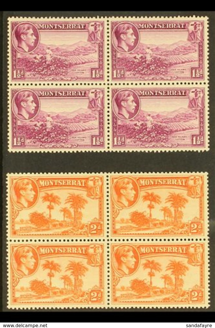 1938-48  1½d Purple And 2d Orange Both Perf 13, SG 103/04, Fine Never Hinged Mint BLOCKS Of 4, Fresh. (2 Blocks = 8 Stam - Montserrat
