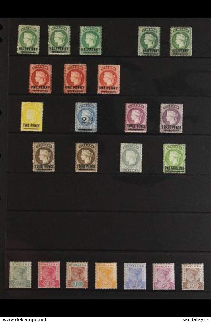 1884-1951 OLD TIME MINT COLLECTION.  A Delightful Old Time Mint Collection Presented On Stock Pages That Includes Sets,  - Isola Di Sant'Elena