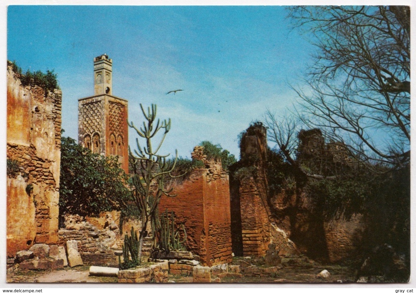 RABAT, Ruins Of Chellah, Unused Postcard [23587] - Rabat