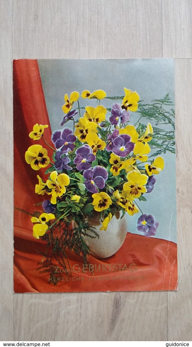 Ansichtskarte - Blumen - Stiefmütterchen - Blumen