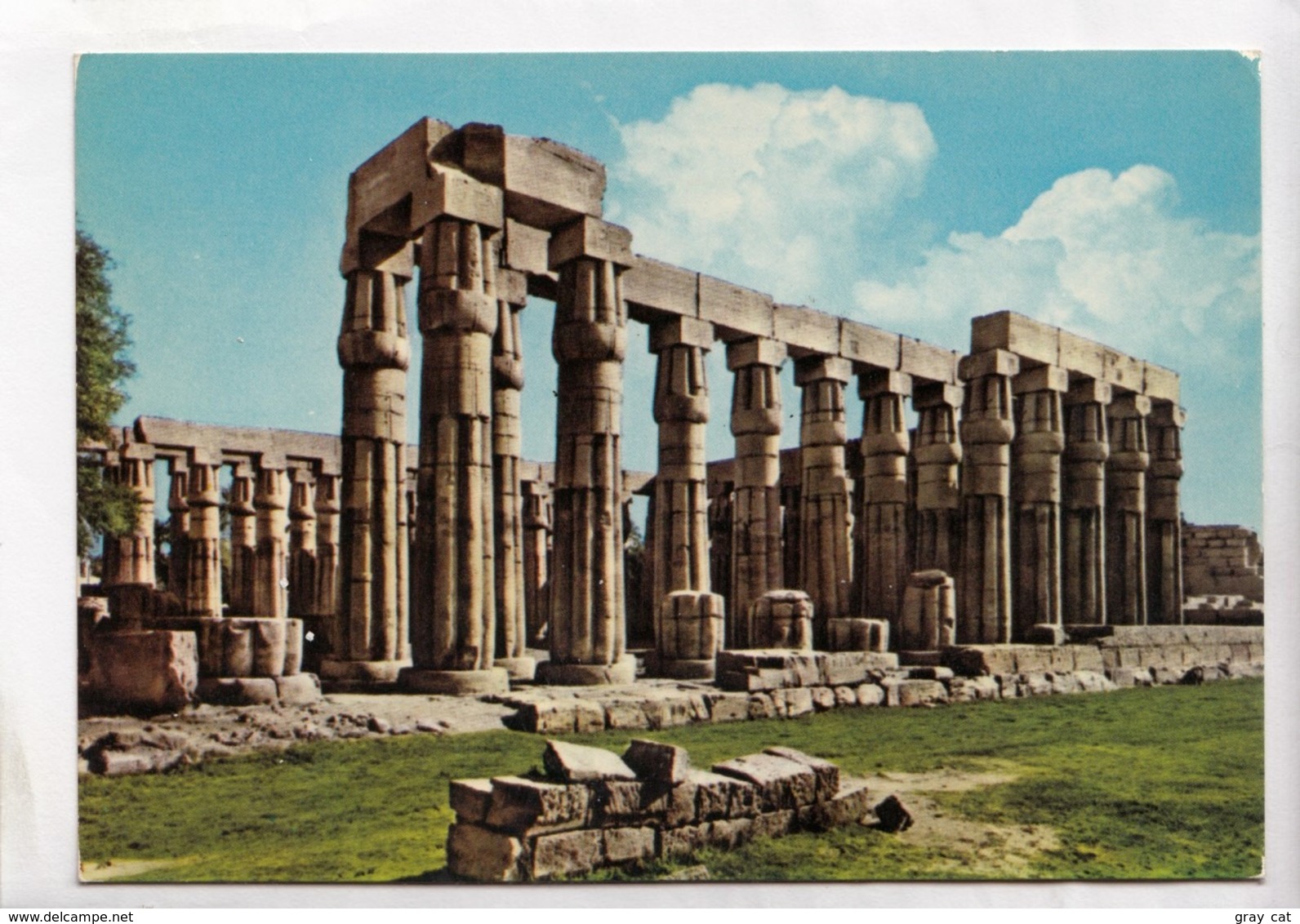 Egypt, Luxor, Amon Temple, Unused Postcard [23594] - Luxor