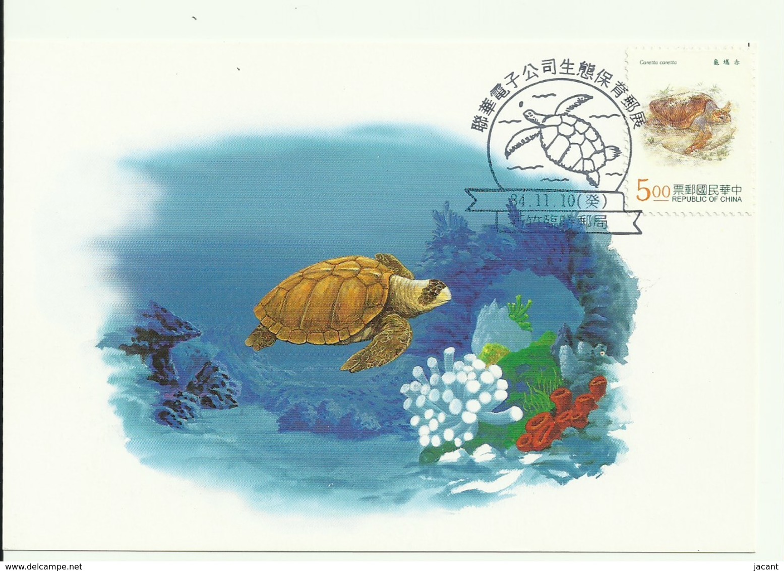 Carte Maximum - Taiwan - Tourtue - Loggerhead Sea Turtle - Caretta Caretta - Cartes-maximum