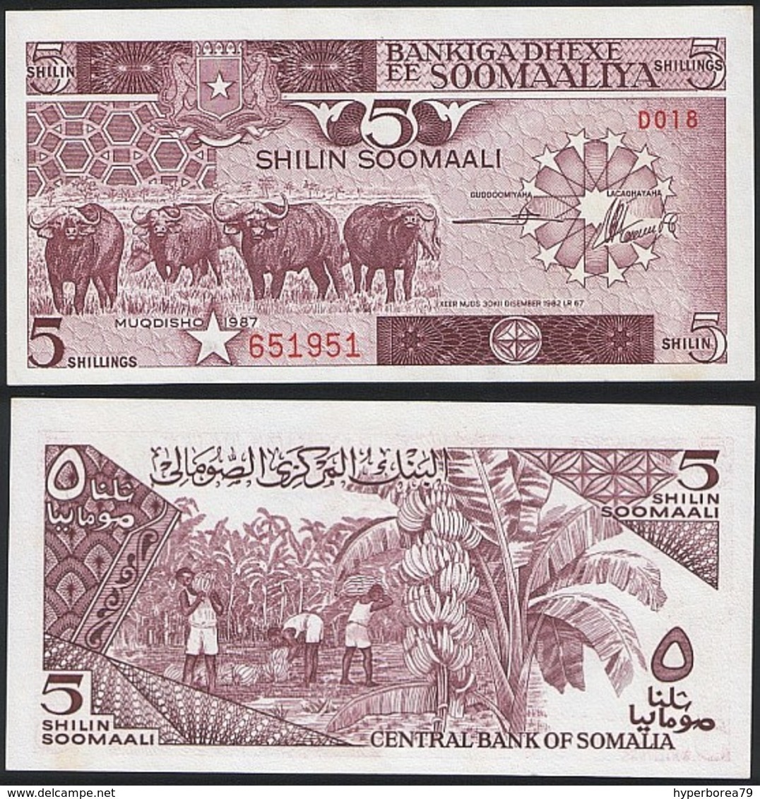 Somalia P 31 C - 5 Shilin Shillings 1987 - UNC - Somalia