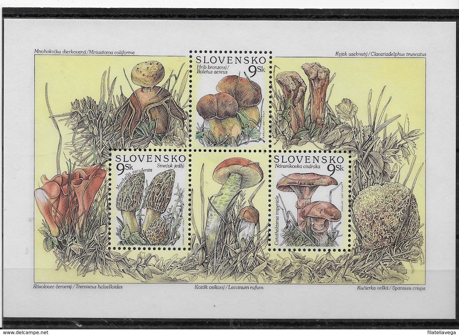 Serie De Eslovaquia Nº Yvert 247/49 ** SETAS (MUSHROOMS) - Nuevos