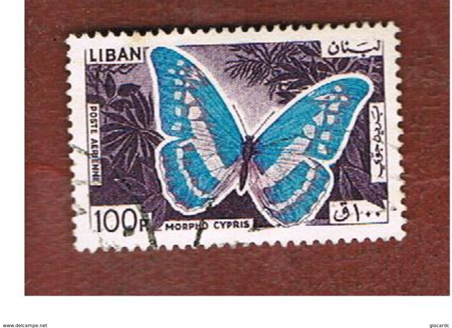 LIBANO (LEBANON) -  SG 879  - 1965 BUTTERFLIES: MORPHO CYPRIS  - USED ° - Libano