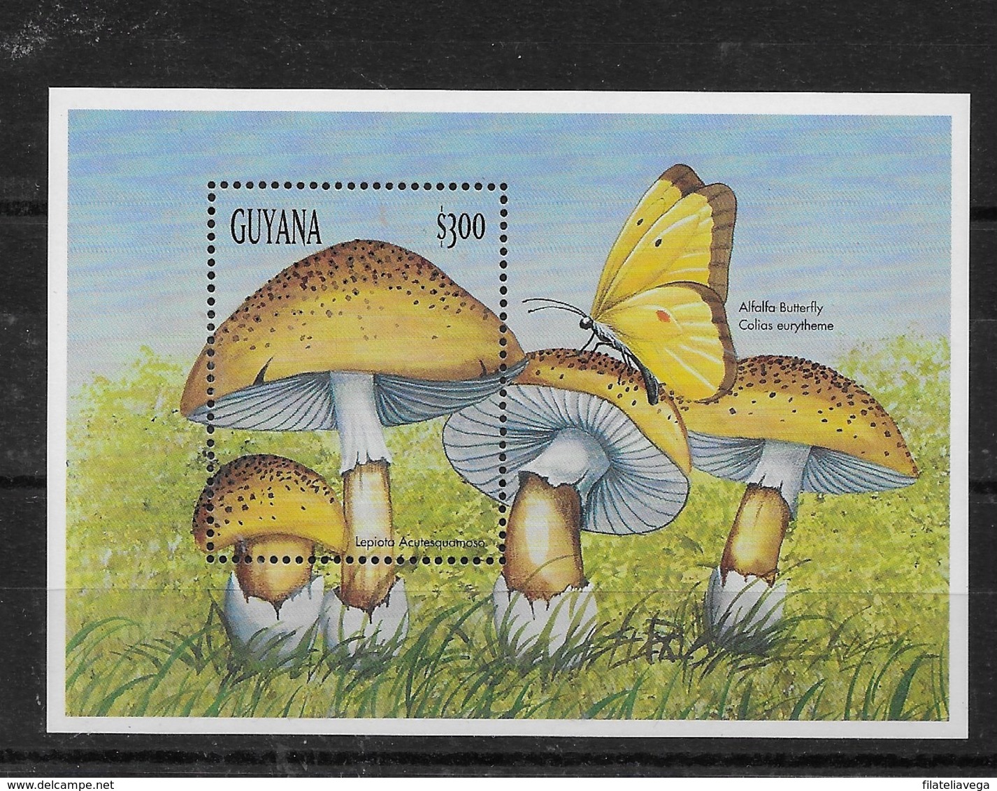 Hoja De Guyana Nº Yvert HB-332 ** SETAS (MUSHROOMS) - Guyana (1966-...)