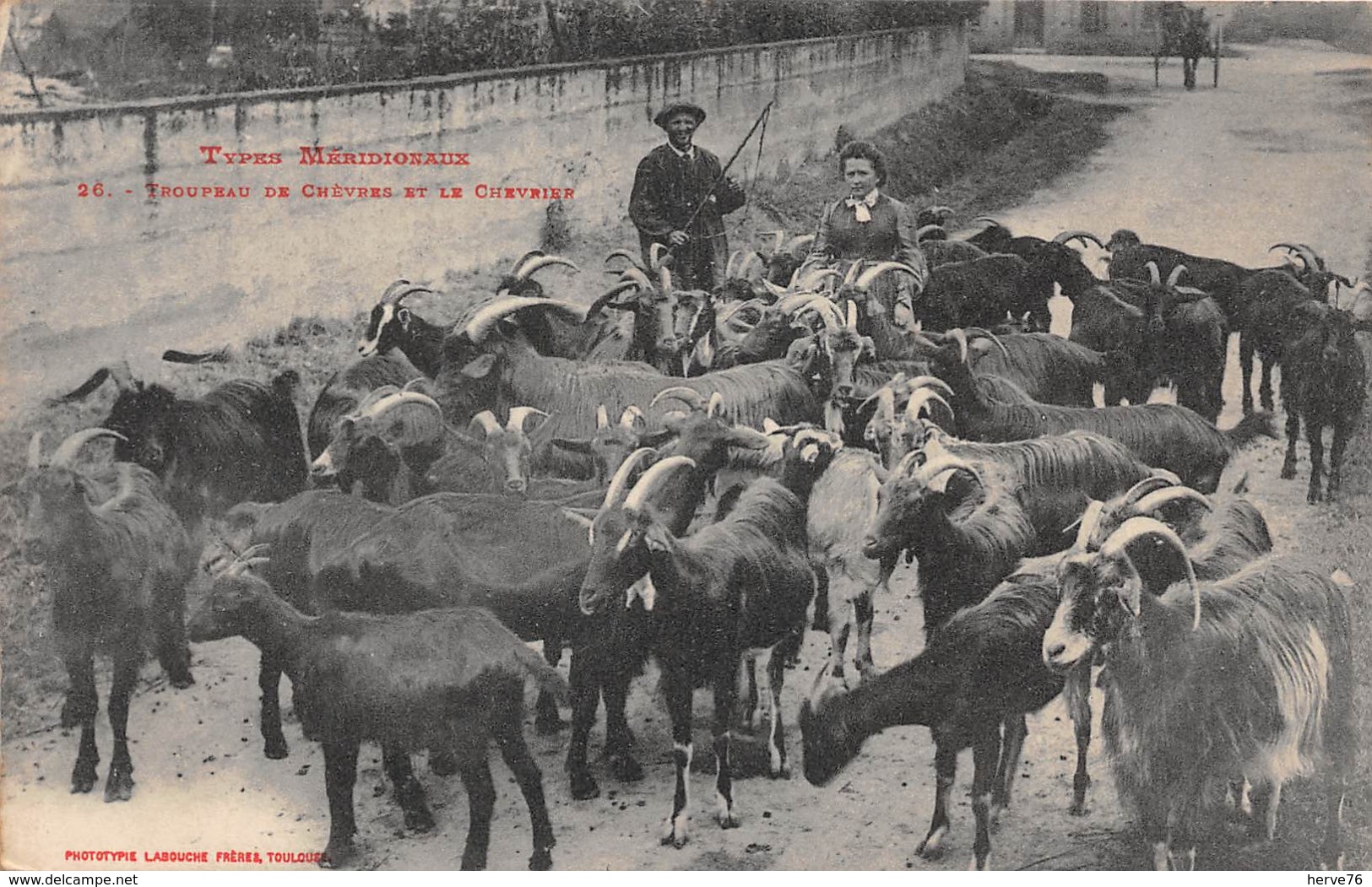 Types Méridionaux - Troupeau De Chèvres Et Le Chevrier - Altri & Non Classificati