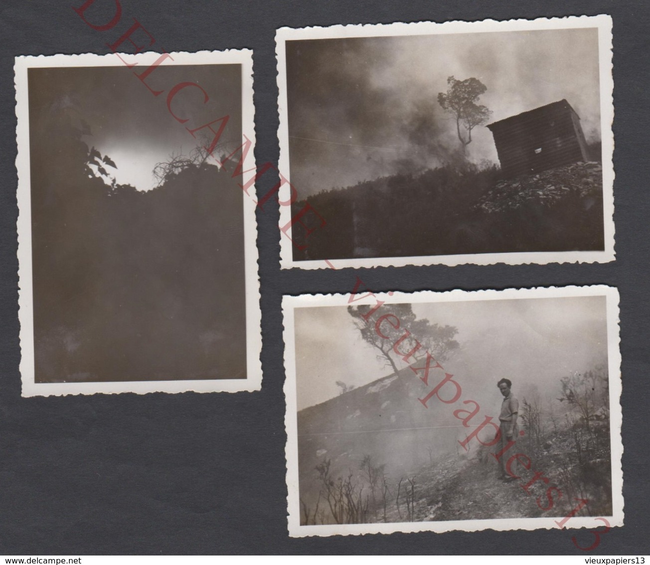 3 Petites Photos Originales Incendie Feu Des Collines à Saint Loup Juil. 1934 - Marseille Bouches Du Rhône 13 - 9x6 Cm - Orte