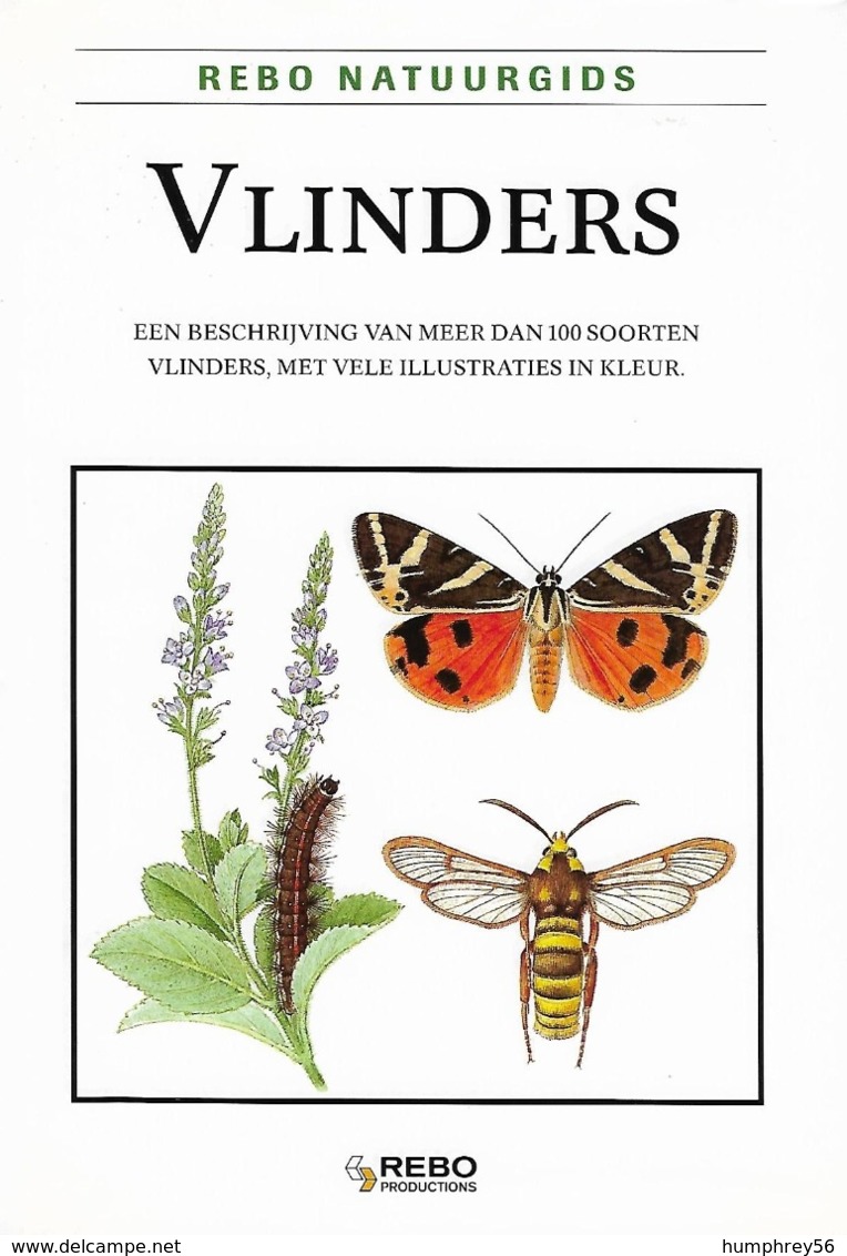 Ivo NOVAK - Vlinders - Sachbücher