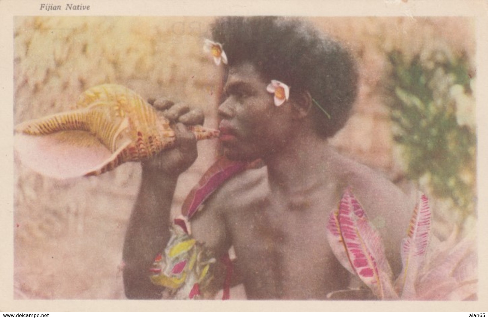 Fiji Native Man Blows Conch Shell, Flowers, South Seas Pacific Oceania, C1940s(?) Vintage Postcard - Fiji
