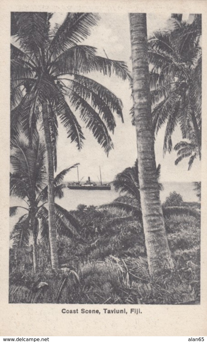 Fiji Coast Scene Taviuni, South Seas Pacific Oceania, C1920s Vintage Postcard - Fiji