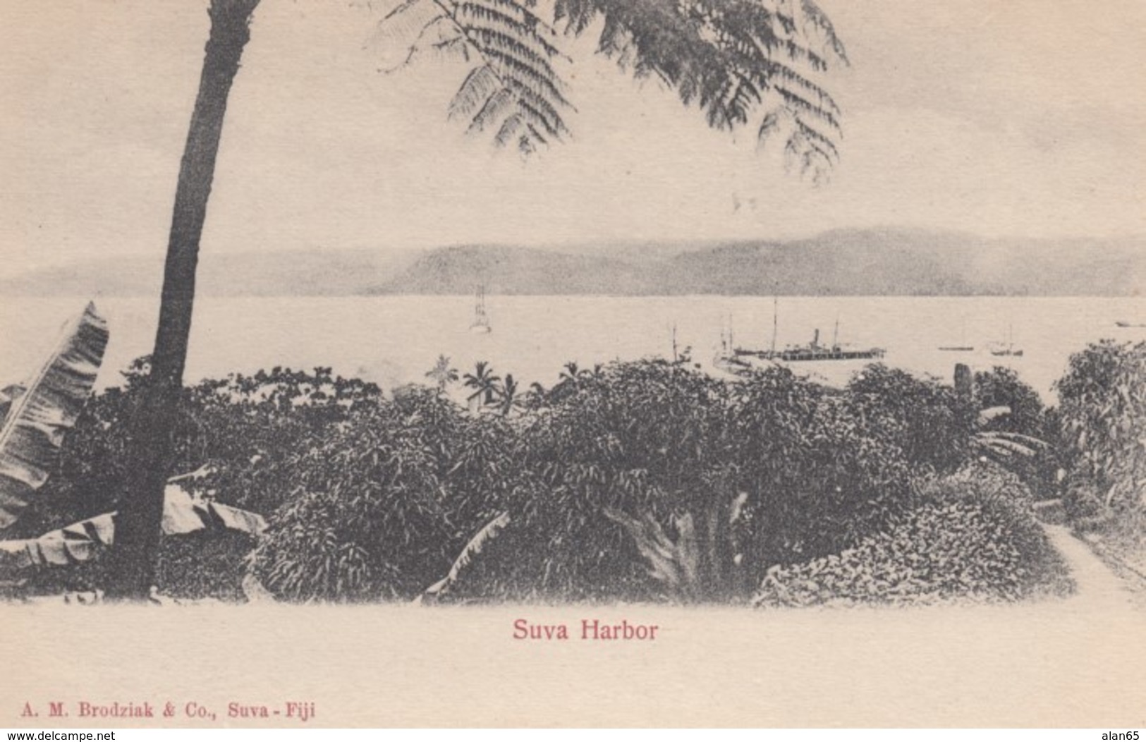 Suva Fiji, Harbor Harbour Scene, South Seas Pacific Oceania, C1900s Vintage Postcard - Fiji