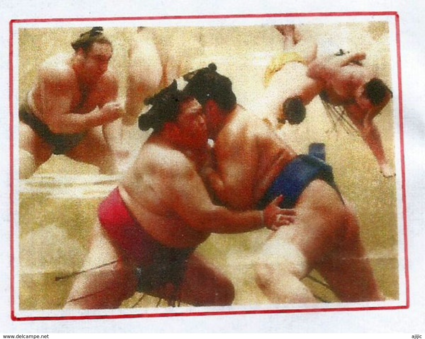 Sumo Granted Full Recognition As Olympic Sport By IOC. Special Cover Tokyo 2019 - Storia Postale
