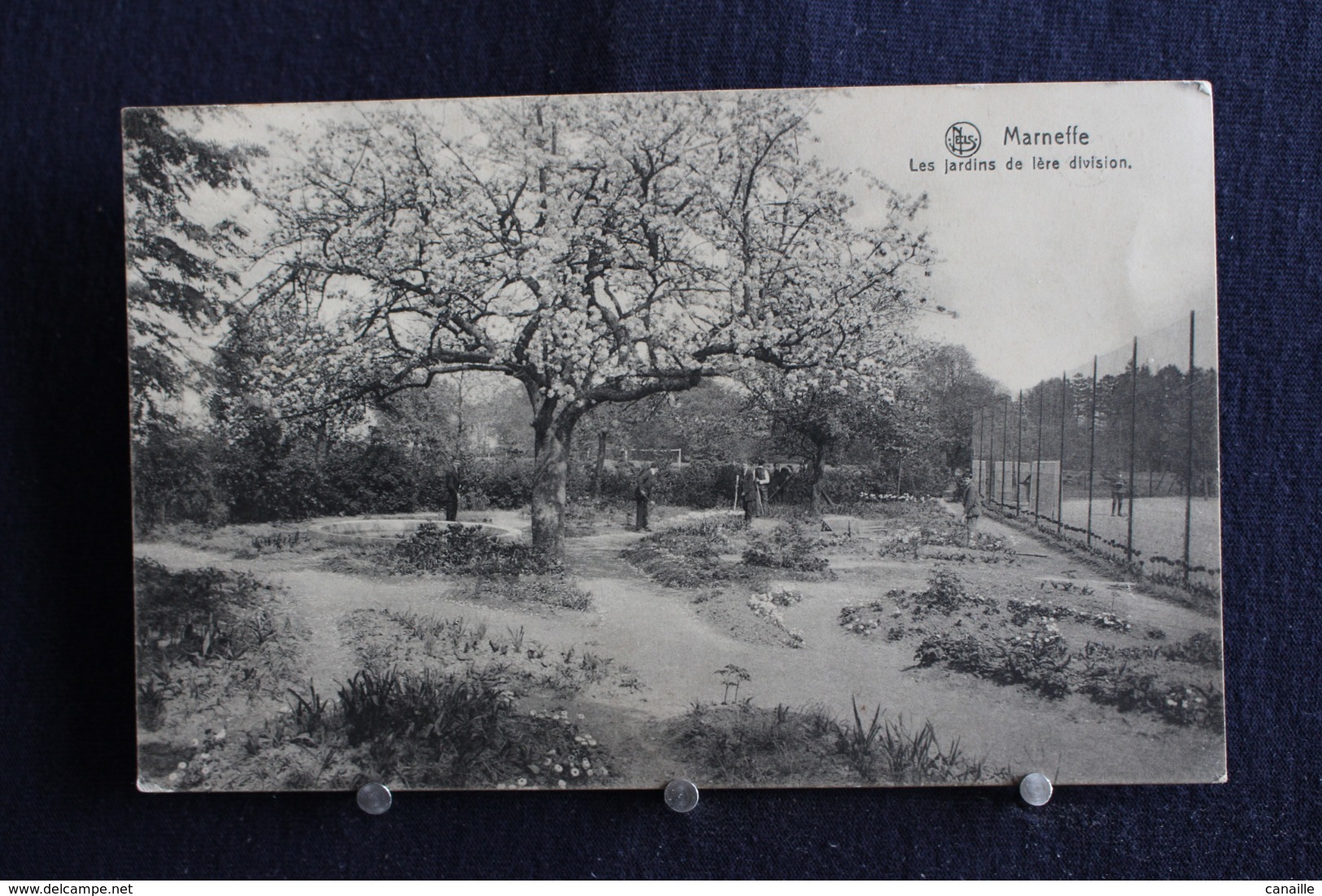 G-129 /  Marneffe, Les Jardins De  1ère Division   / Circulé  1920 - Burdinne