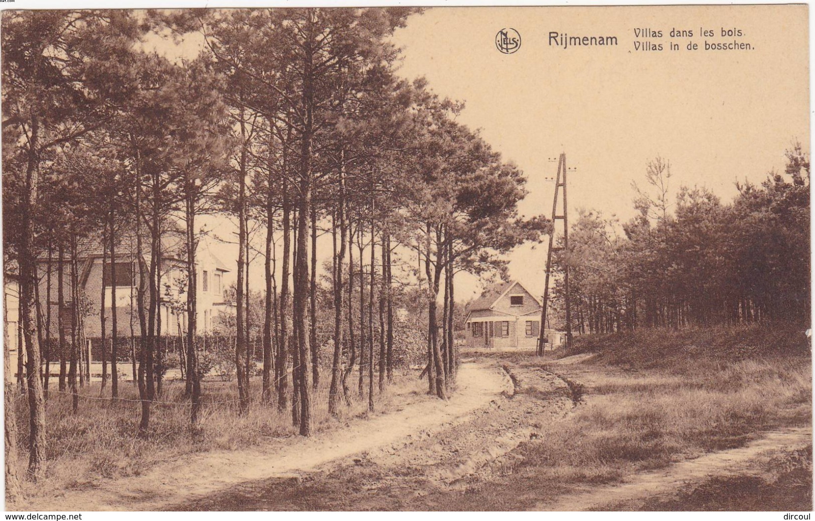 41736 -    Rijmenam  Villas  Dans  Les  Bois - Bonheiden