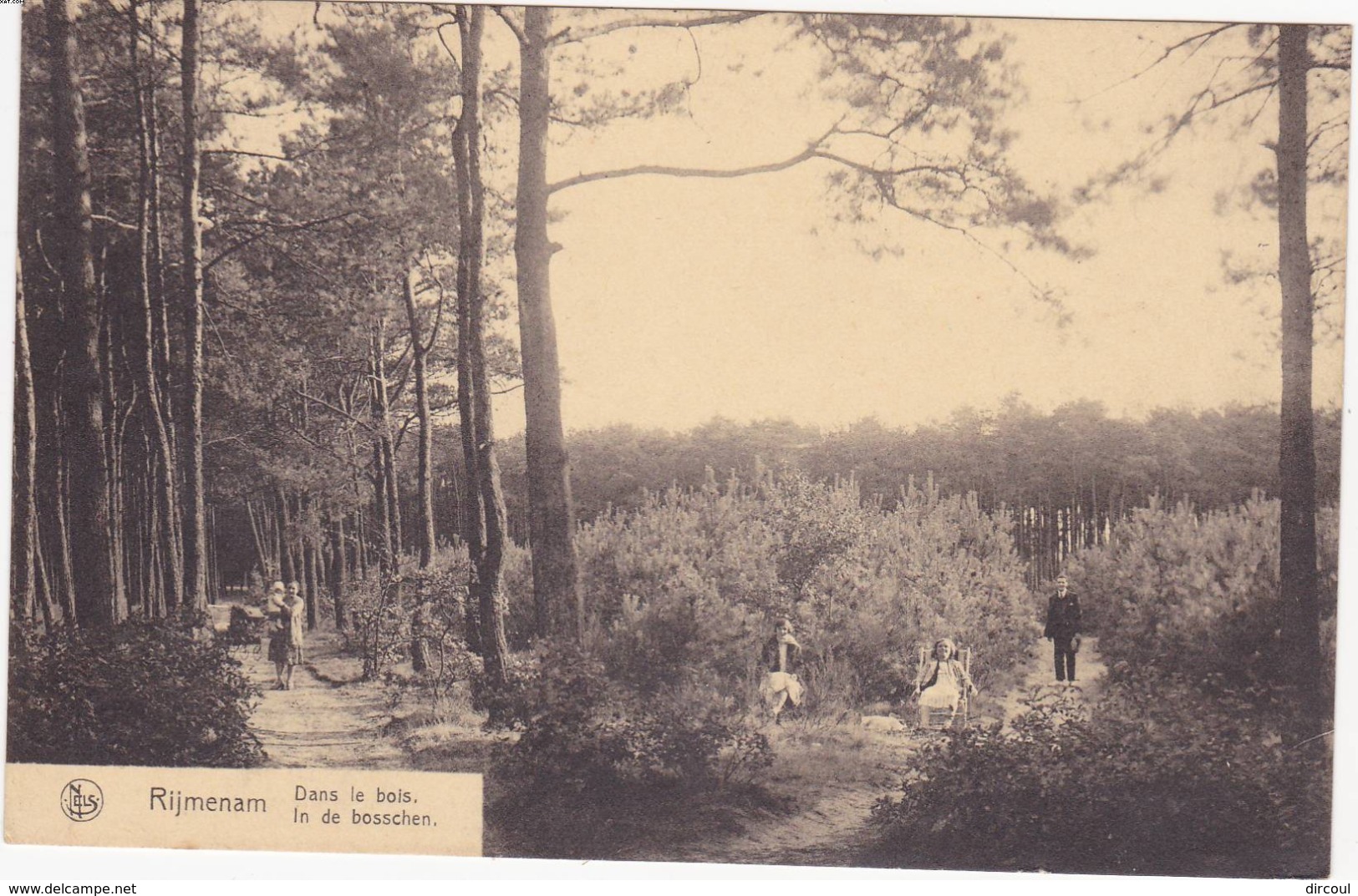 41737 -    Rijmenam  Dans  Le  Bois - Bonheiden