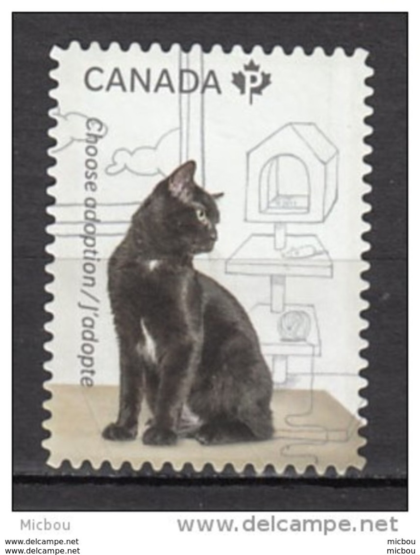 Canada, MNG, Chat, Cat, Laine, Wool, Textile - Domestic Cats