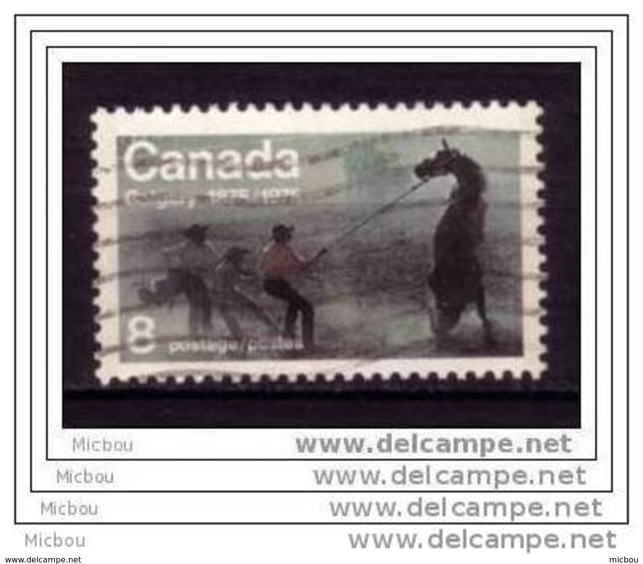 Canada, Calgary, Cheval, Horse, Rodéo, Hippisme - Horses