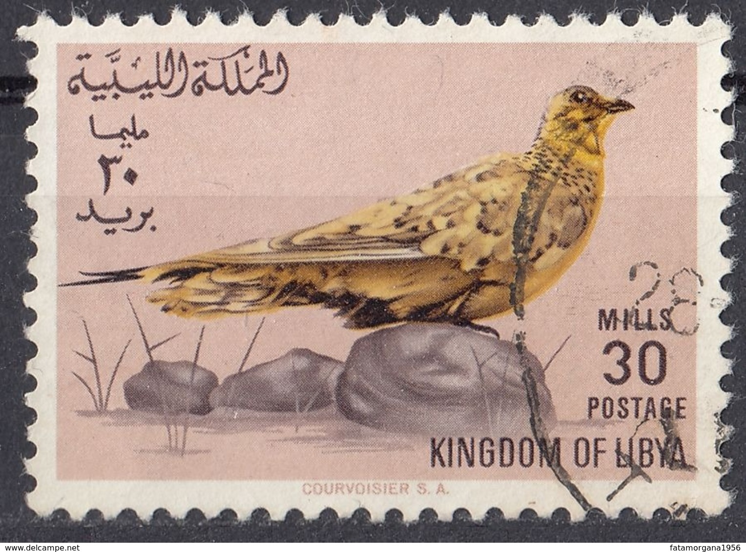 LIBIA - 1965 - Yvert 259 Usato. - Libia